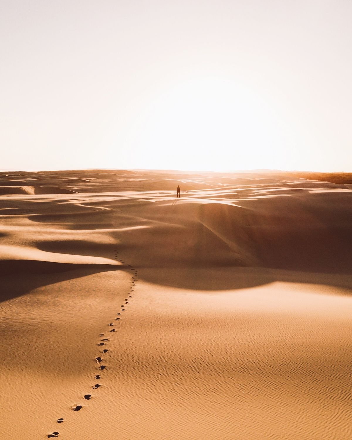 A Journey Through the Desert for Tattra — image 1